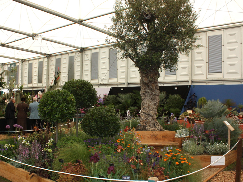 Todd's Botanics add more RHS shows for 2013