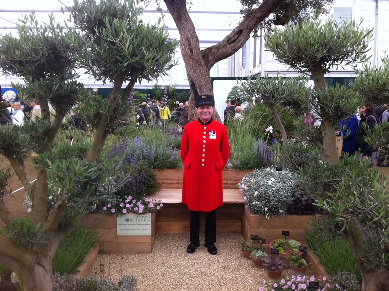 Todd's Botanics will exhibit at the Chelsea Flower Show 2013
