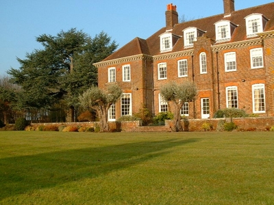 Olive grove in Buriton, Hampshire (click to view)