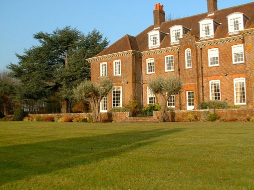 Olive grove in Buriton, Hampshire (click to view)