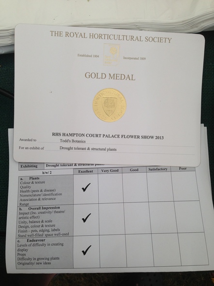 Hampton Flower Show Gold 3 Years straight