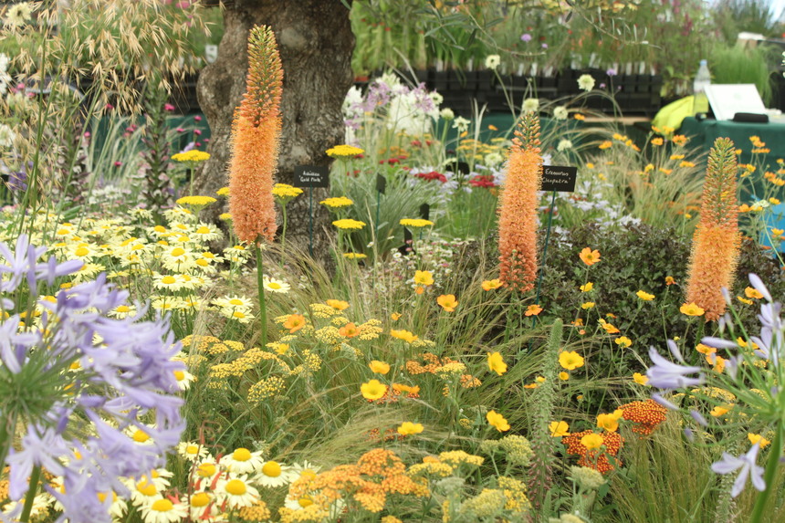 RHS Show dates announced for 2014