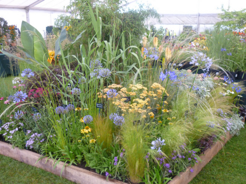 Silver-gilt at Tatton Park