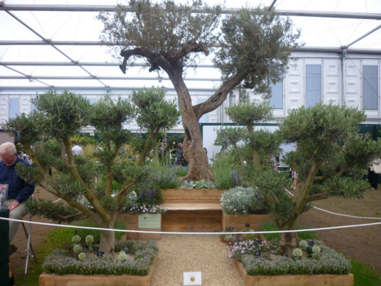 Silver-gilt at the Chelsea Flower Show 