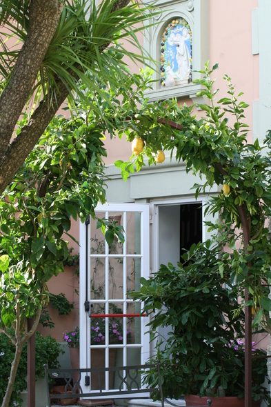 Beautiful Citrus Archway