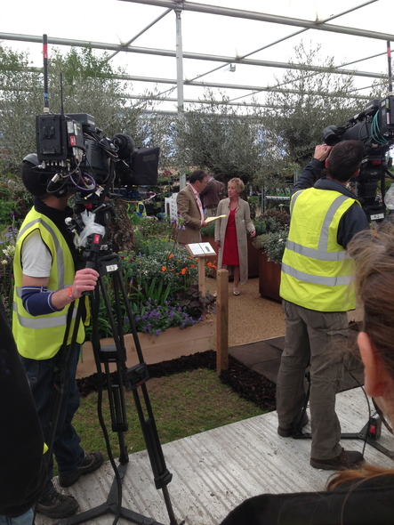 RHS Chelsea Flower Show 2013