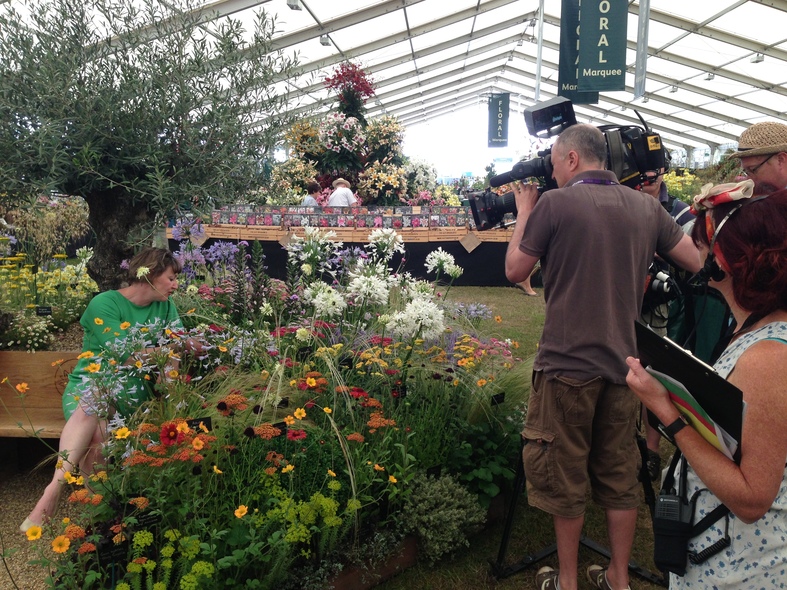 Hampton Flower Show Gold 3 Years straight