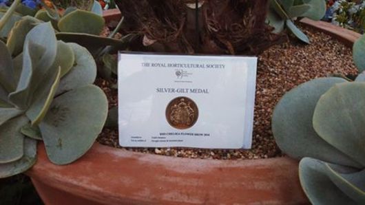 RHS Chelsea Flower Show - 2016